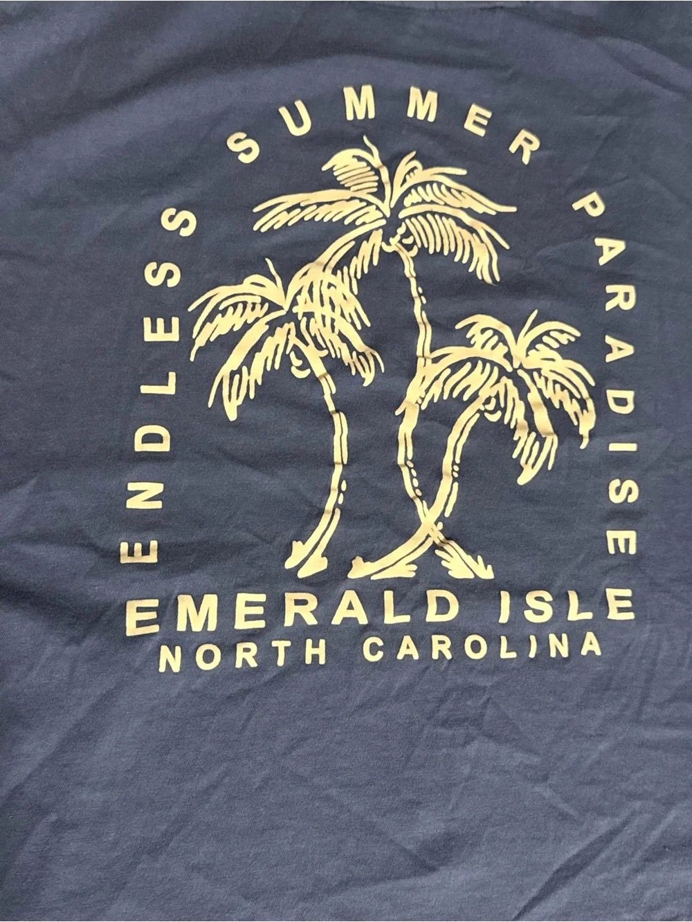 Emerald Isle Graphic Tank Top - Women's Blue